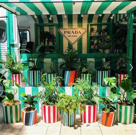 prada tropico cafe